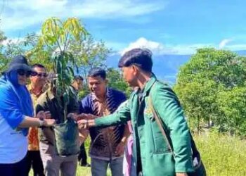 KSI Tanam Ratusan Pohon Mangga dan Nira di Desa Wisata Hutatinggi