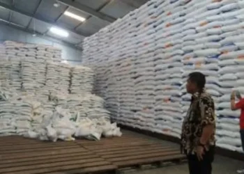 Bulog Pastikan Stok Beras Sumut Aman Hingga Akhir 2023