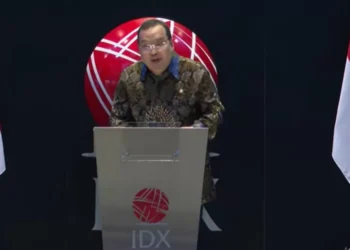 Aku Investor Saham