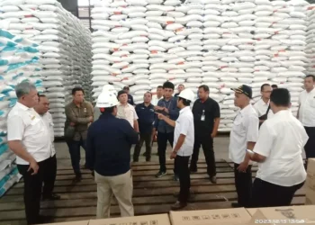 harga dan pasokan