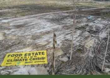 Cak Imin: Hentikan Program Food Estate!