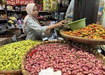 Harga Bawang Merah di Sumut Melonjak Tembus Rp 50 Ribu per Kg