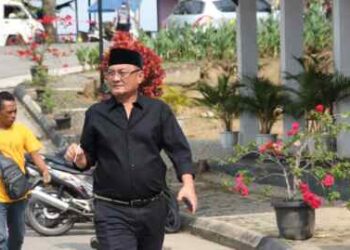 Ir Ali Mutiara Rangkuti MM
