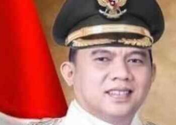 Bupati Labuhanbatu
