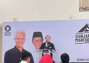 Todung Mulya Lubis
