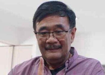 Djarot Saiful Hidayat