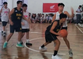 honda dbl