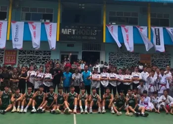 honda dbl