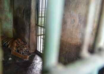 Medan Zoo