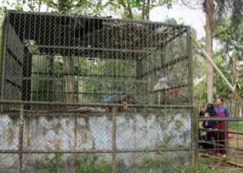 Medan Zoo