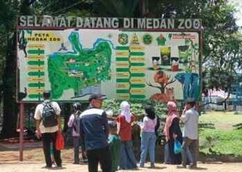PUD Pembangunan Medan Bantah Pegawai Kebun Binatang Tak Gajian 4 Bulan