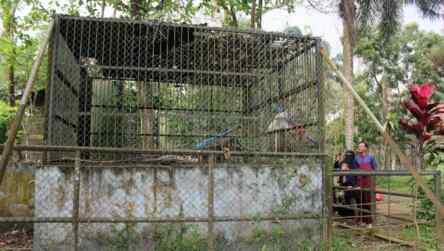 Foto: Medan Zoo