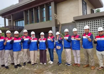 penyediaan energi bersih ikn
