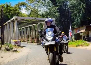 performa motor