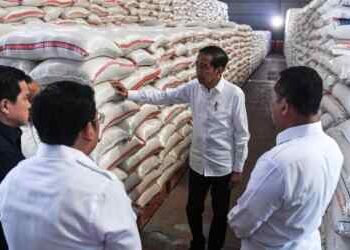 Lagi, Pemerintahan Jokowi akan Impor 3 Juta Ton Beras