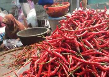 Kenaikan Harga Cabai dan Beras Makin Tak Terbendung