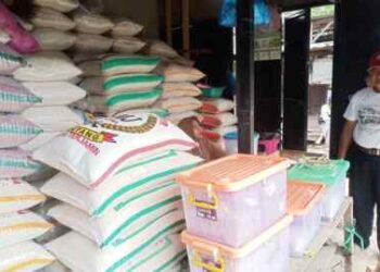 Stok Beras Banyak tapi Harga Tetap Mahal, Kementan Malah Heran