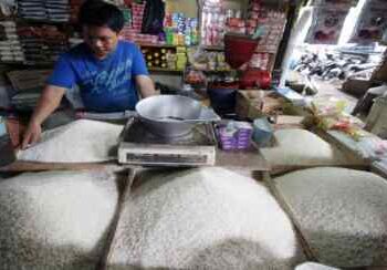 Gawat! Harga Beras Diprediksi Tembus Rp 18.000/Kg