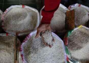Mencekik Leher! Harga Beras Tembus Rp 18.500 per Kilogram