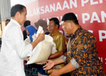 Beras Bansos