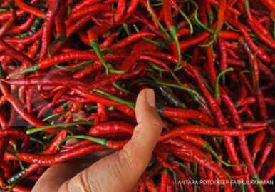 Foto: Cabai merah.