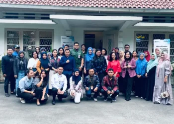 edukasi umkm