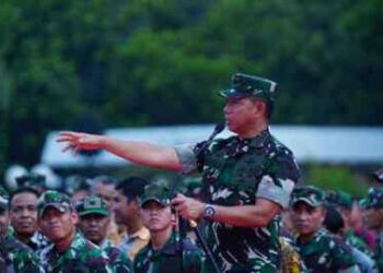 Panglima TNI