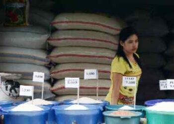 Harga Beras Mencekik Leher, Begini Langkah Badan Pangan