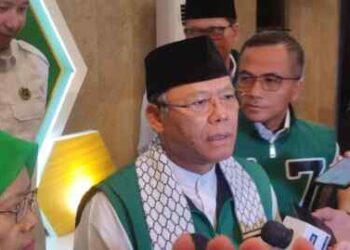 Plt Ketum PPP
