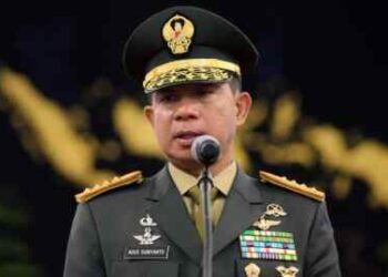 Panglima TNI
