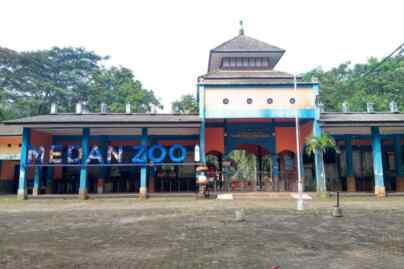 Foto: Medan Zoo