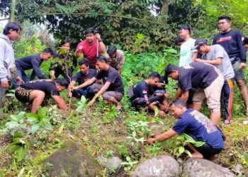Ranam Pohon