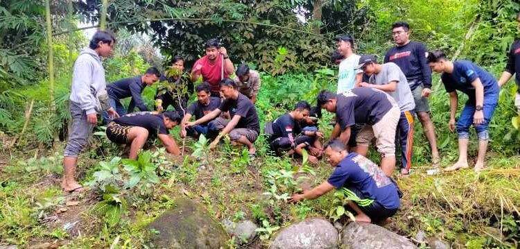 Foto: Ranam Pohon