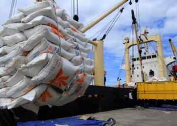 Indonesia Impor 880.000 Ton Beras, Gula Capai 828.000 Ton Lebih