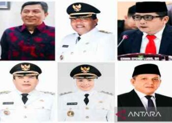 Calon Bupati