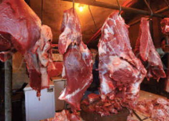 Harga Daging Sapi di Medan Melonjak