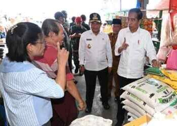 Cek Harga Beras