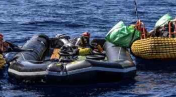 Peahu migran