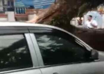Hujan Deras-Angin Kencang: Pohon Tumbang Timpa Mobil di Medan