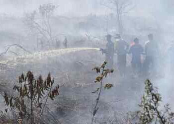 Siaga! Pemprov Riau Darurat Kebakaran Hutan dan Lahan