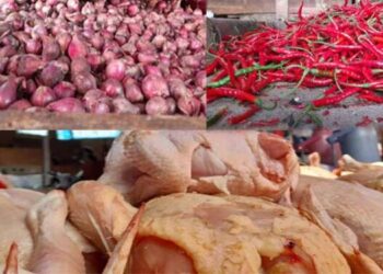 Daging Ayam dan Bawang Merah di Medan Bertahan Mahal!