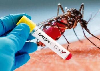 Waspada! Januari-Maret, Kasus DBD Meningkat 3 Kali Lipat