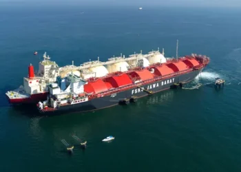 LNG Domestik