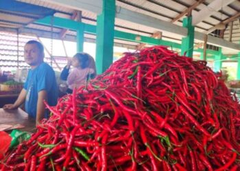 Harga Cabai Merah di Sumut Meroket