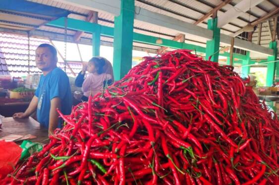 Foto: Penjualan cabai merah.
