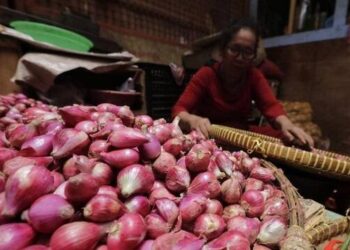 Bawang merah
