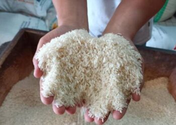 BPS: Harga Beras Capai Level Tertinggi!