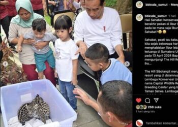 Bayi Jaguar