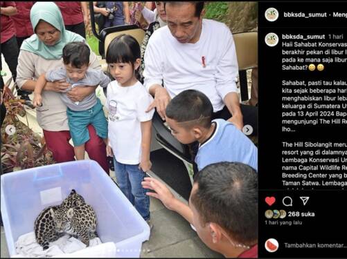 Foto: Bayi Jaguar