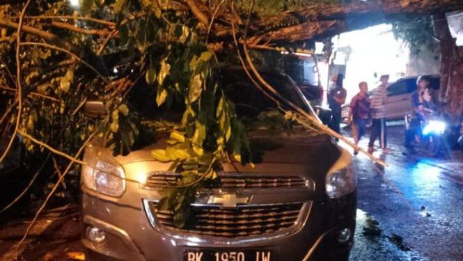 Foto: Mobil tertimpa pohon tumbang di Medan.